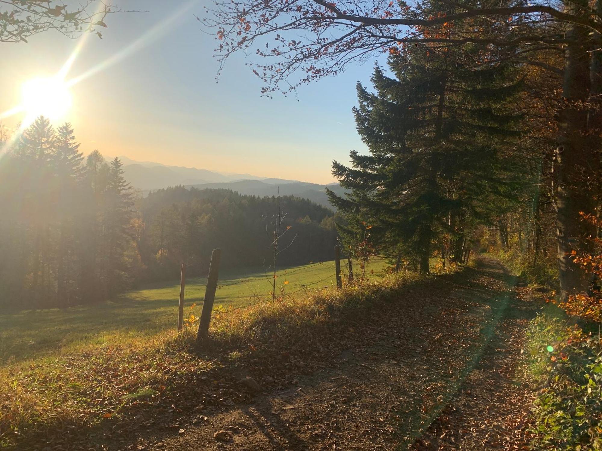 Landgasthof Zur Linde Laaben Exterior foto